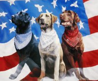 Red White Blue