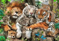 bellos