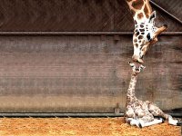 primer beso