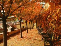 otoño