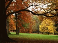 otoño