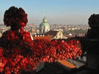 otoño