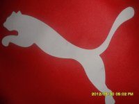 puma