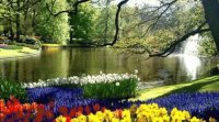 Jardines impresionantes