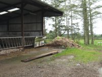 Farmyard in Roscommon Ireland