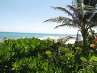 Mexico Caribbean