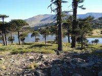 Caviahue. Neuquén. Argentina