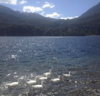 Lago Steffen. Río Negro. Argentina