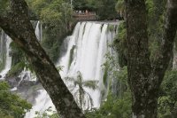 En el PN Iguazú. Misiones. Argentina