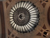 Cupula
