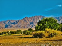 En Fiambalá. Catamarca. Argentina