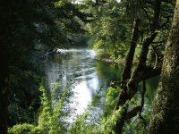 Río Manso. Provincia de Río Negro. Argentina
