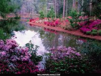 Jardines impresionantes..