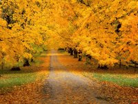 otoño