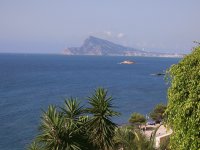 Althea, Spain