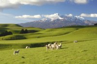 Nueva Zelanda