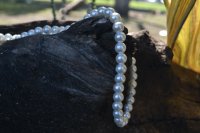 Perlas