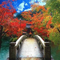 Kyoto-Japón