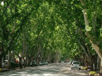 Colonia Caroya. Córdoba. Argentina