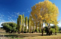 En Aluminé. Neuquén. Argentina