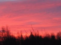 Sunrise from our backyard this morning