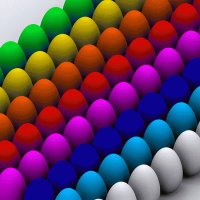 eggs