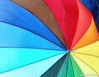 umbrella