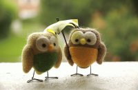 cute animals