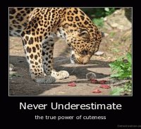 cute animals