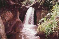 Parque Nacional do Pau Brasil