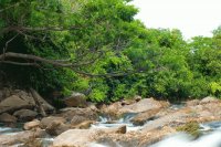 Parque Nacional de Pacaás Novos