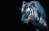 tigre