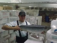 pescado para toodoss..