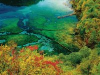 Bosque Jiuzhaigou, Sichuan, China