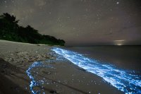 Sea of Stars