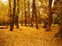 Otoño en Córdoba. Argentina