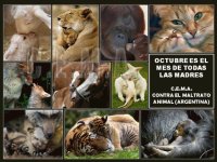 ARGENTINA- OCTUBRE-MES DE LAS MADRES