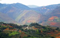 la cuchilla del ramo