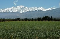 Cordón del Plata. Mendoza. Argentina