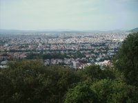morelia