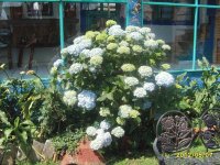 naturaleza