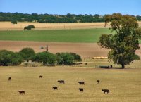 En Santa Rosa. La Pampa. Argentina