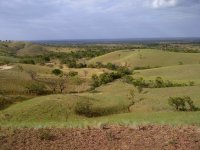 varios Guarico