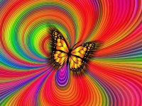 Arte-Mariposa- Estética.