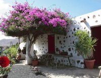 Un patio