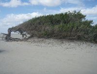 CearÃ¡ Brazil