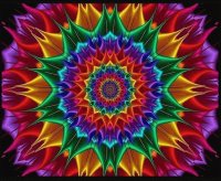 colores