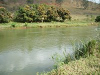 sitio