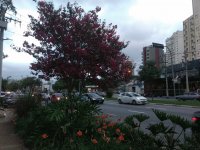 Guarulhos Brazil