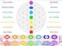 CHAKRAS